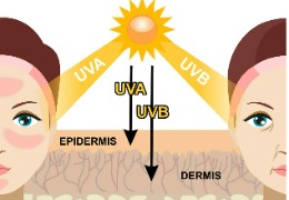 化妝品原料小百科：NAG與煙酰胺復(fù)配使用能改善色斑嗎？