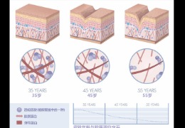 都在問(wèn)的乙酰殼糖胺（NAG）功效怎么樣？功效成分的護(hù)膚品應(yīng)該怎么選？