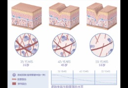 水潤(rùn)皮膚的秘密武器，乙酰殼糖胺和透明質(zhì)酸的甜蜜聯(lián)盟！